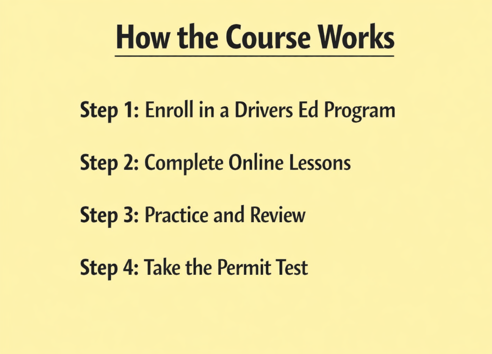 New York Teen Drivers Ed Guide: Rules & Road Test Tips