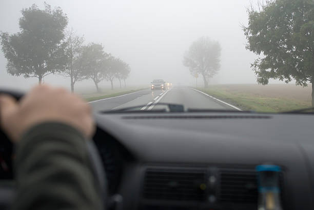 A focused driver carefully observing the road and other vehicles, practicing the art of anticipation to drive safely and confidently.