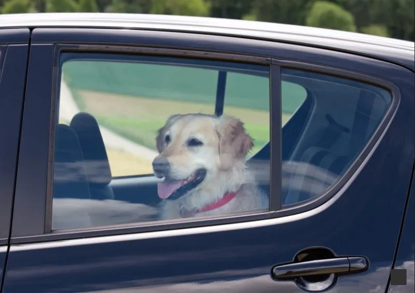 A parked car in sunlight with a thermometer showing rising temperatures, emphasizing the danger of overheating for children and pets.