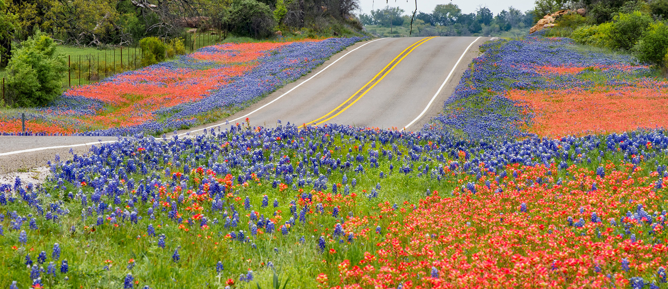 Family enjoying a Thanksgiving road trip in Texas, prepared with tips from Get Drivers Ed.