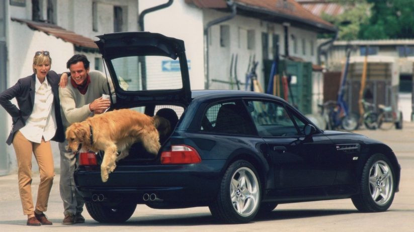 A happy dog sitting comfortably in the spacious backseat of a pet-friendly car, ready for a safe journey.